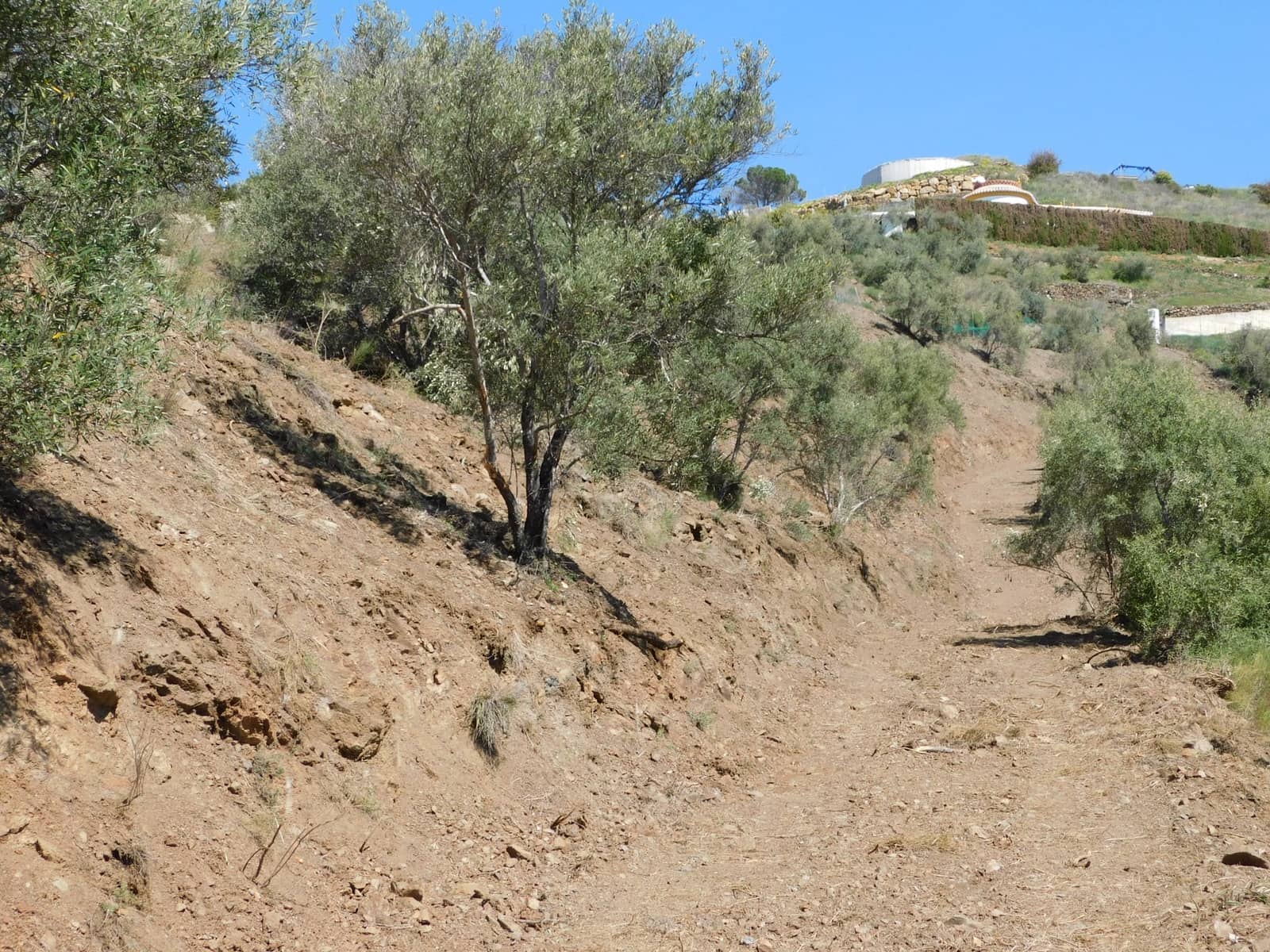 Mark till salu i Torrox - 50 000 € (Ref: 5960458)