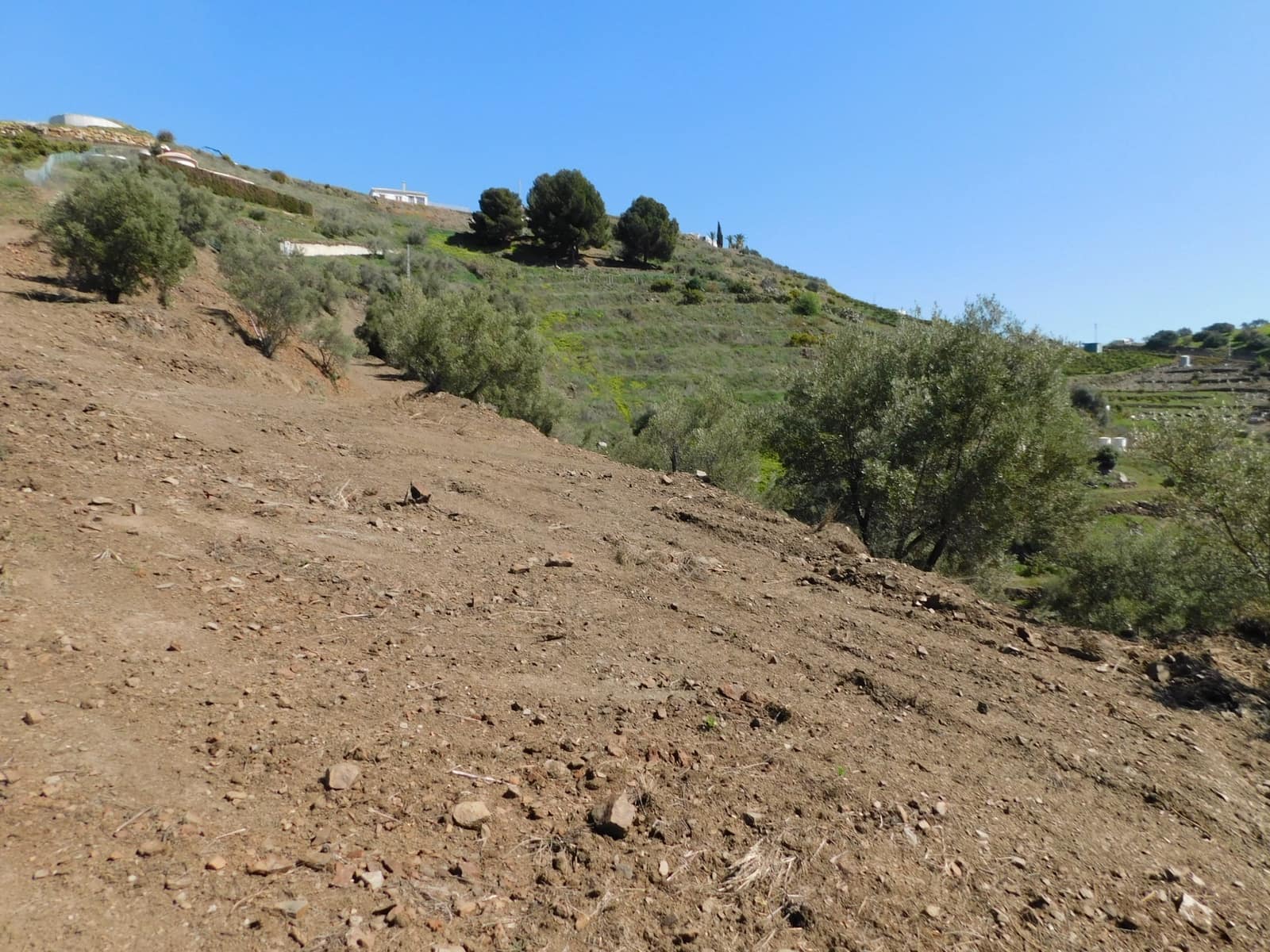 Mark till salu i Torrox - 50 000 € (Ref: 5960458)