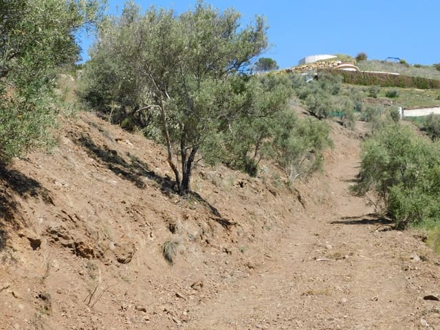 Teren niezagospodarowany na sprzedaż w Torrox - 50 000 € (Ref: 5960458)