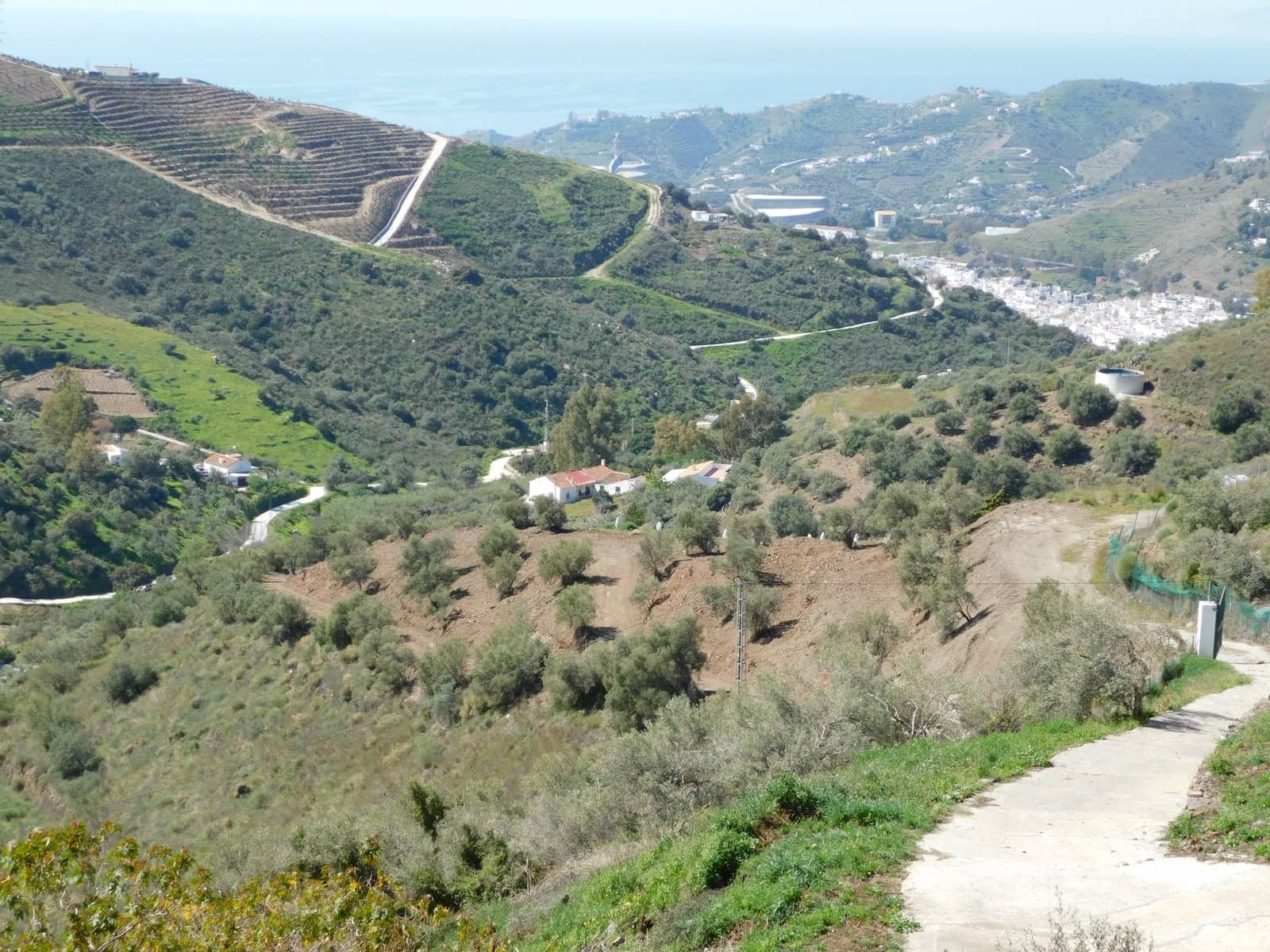 Mark till salu i Torrox - 50 000 € (Ref: 5960458)