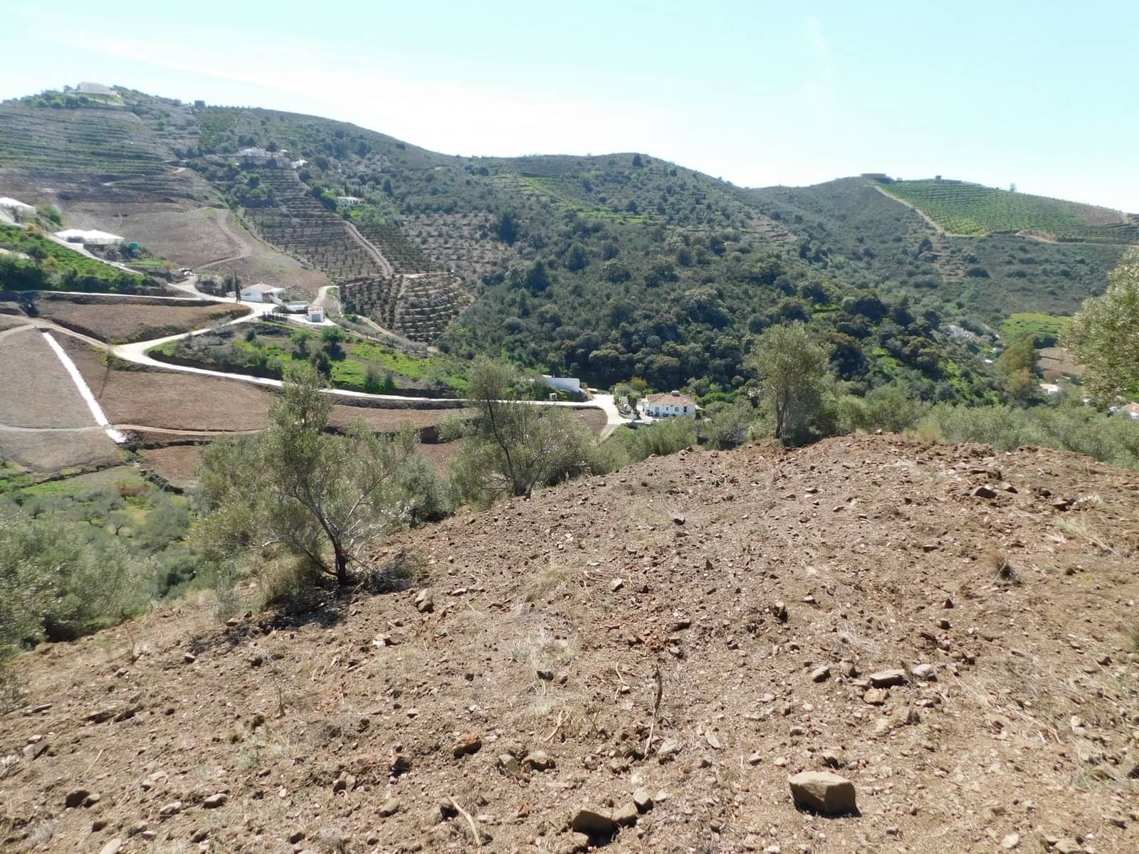 Mark till salu i Torrox - 50 000 € (Ref: 5960458)