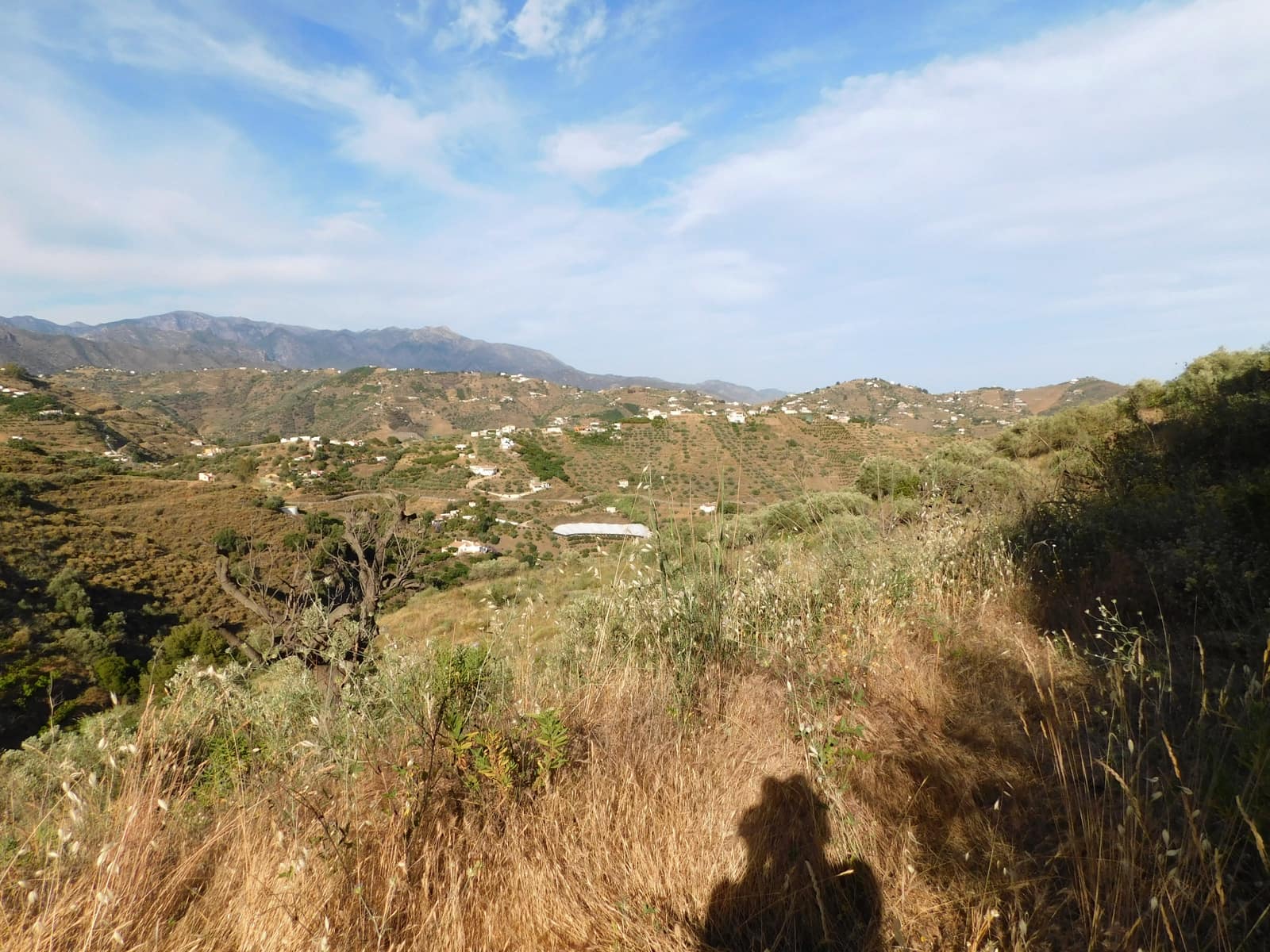 Teren niezagospodarowany na sprzedaż w Torrox - 50 000 € (Ref: 7055567)