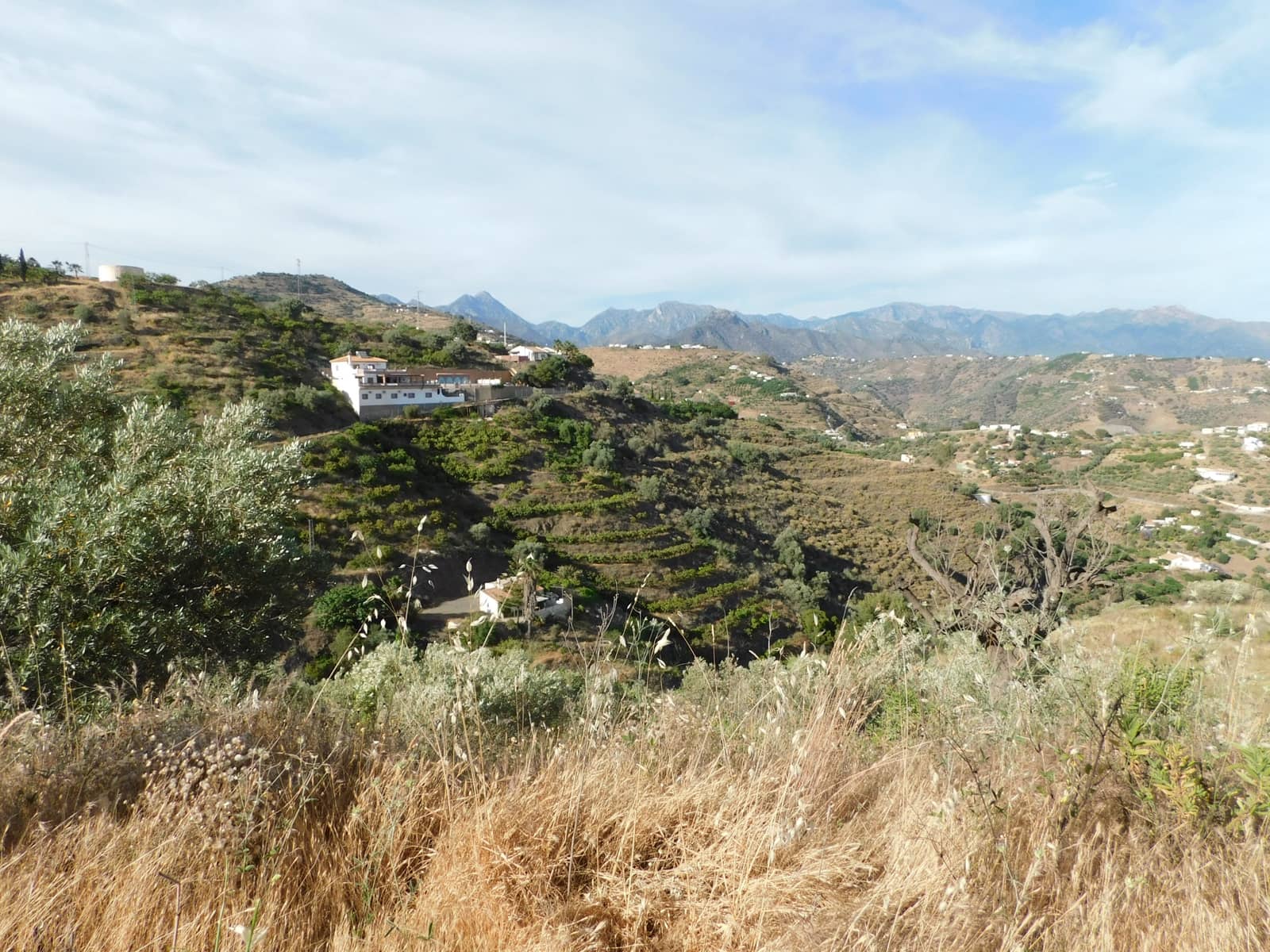 Teren niezagospodarowany na sprzedaż w Torrox - 50 000 € (Ref: 7055567)