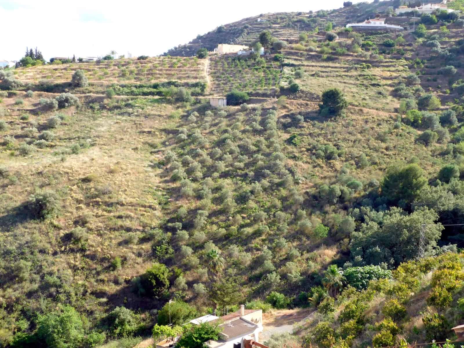 Teren niezagospodarowany na sprzedaż w Torrox - 50 000 € (Ref: 7055567)