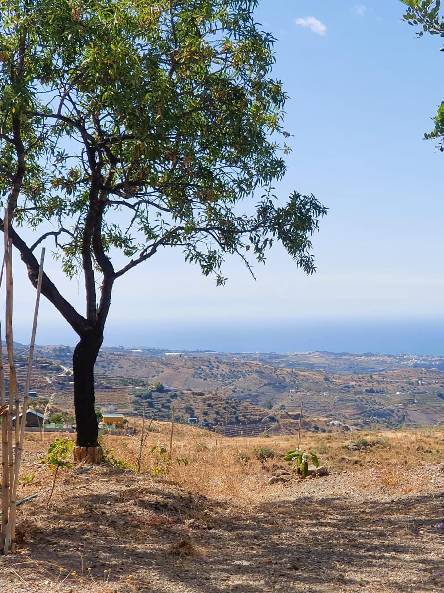 2 soverom Finca/Herregård til salgs i Velez-Malaga - € 168 000 (Ref: 8361959)