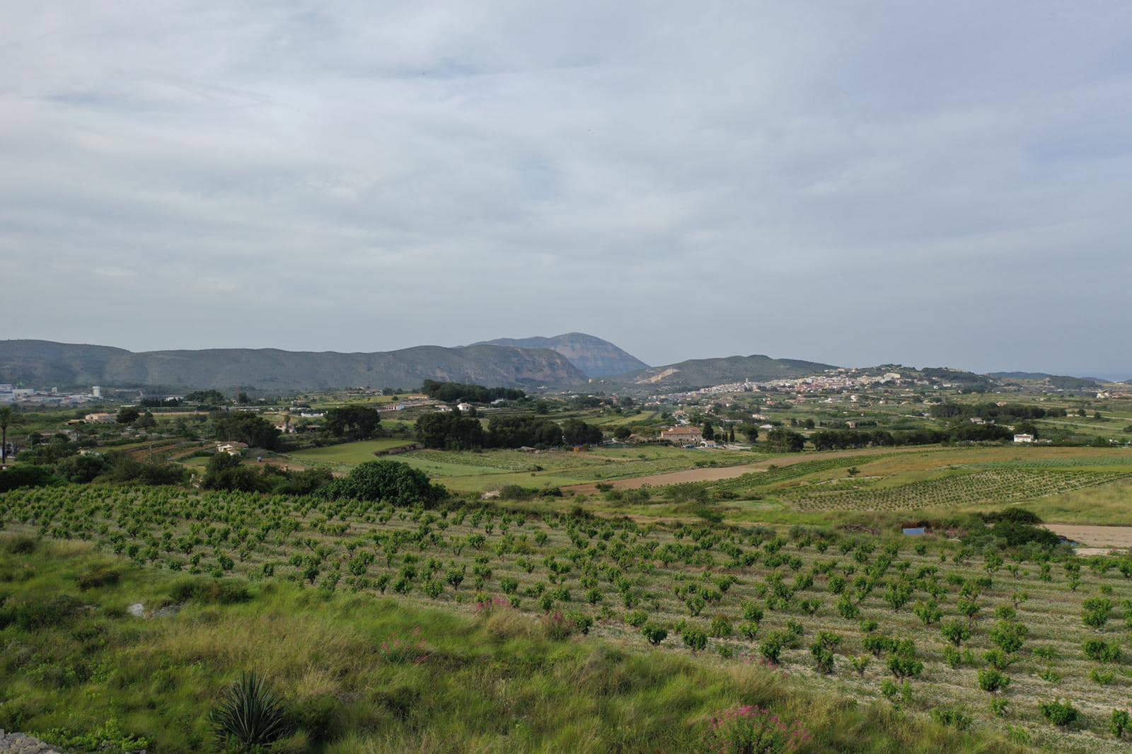 4 bedroom Villa for sale in Teulada-Moraira with pool garage - € 1,950,000 (Ref: 8762632)