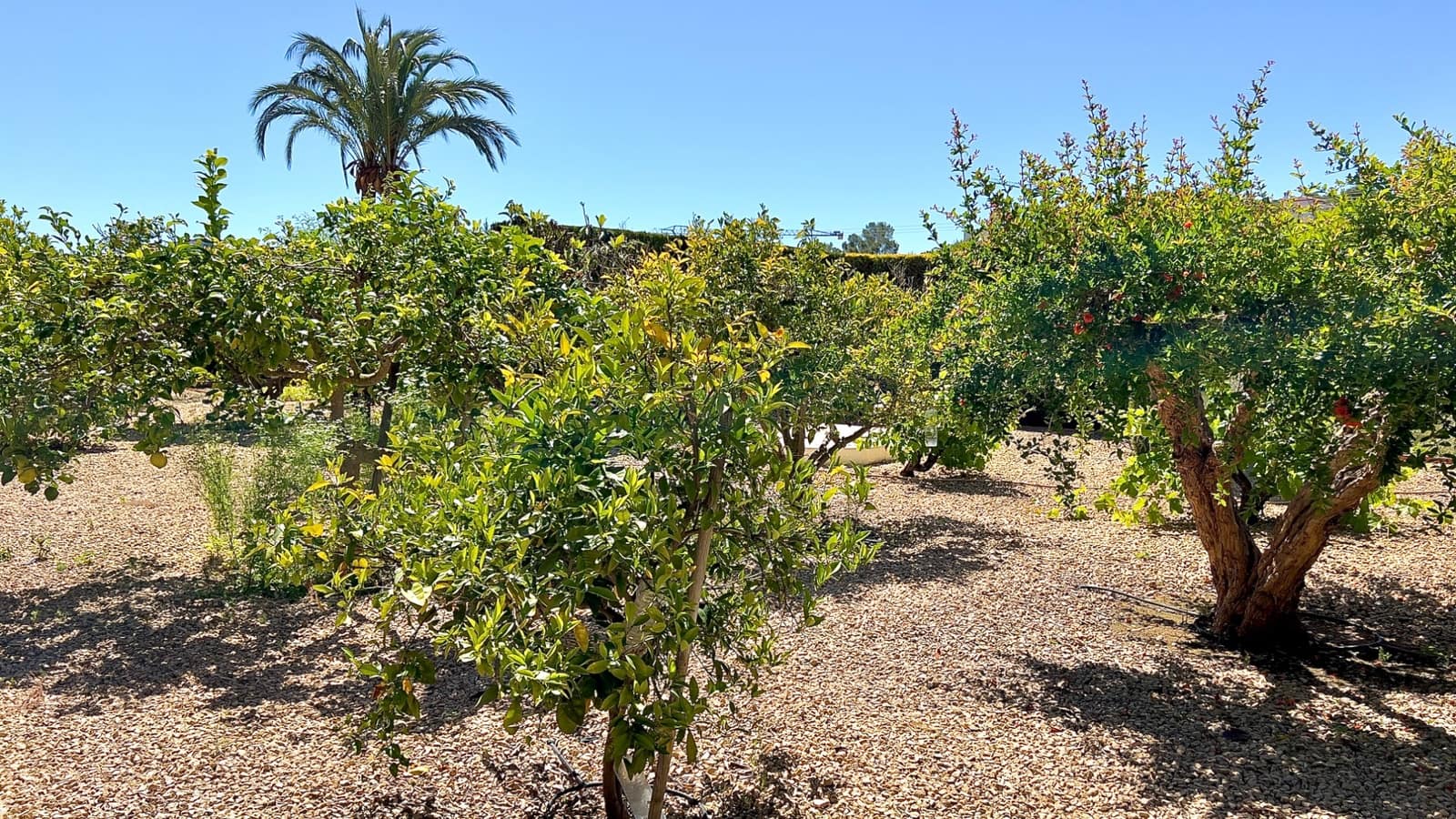 6 soverom Villa til salgs i Moraira med svømmebasseng - € 1 075 000 (Ref: 9858856)