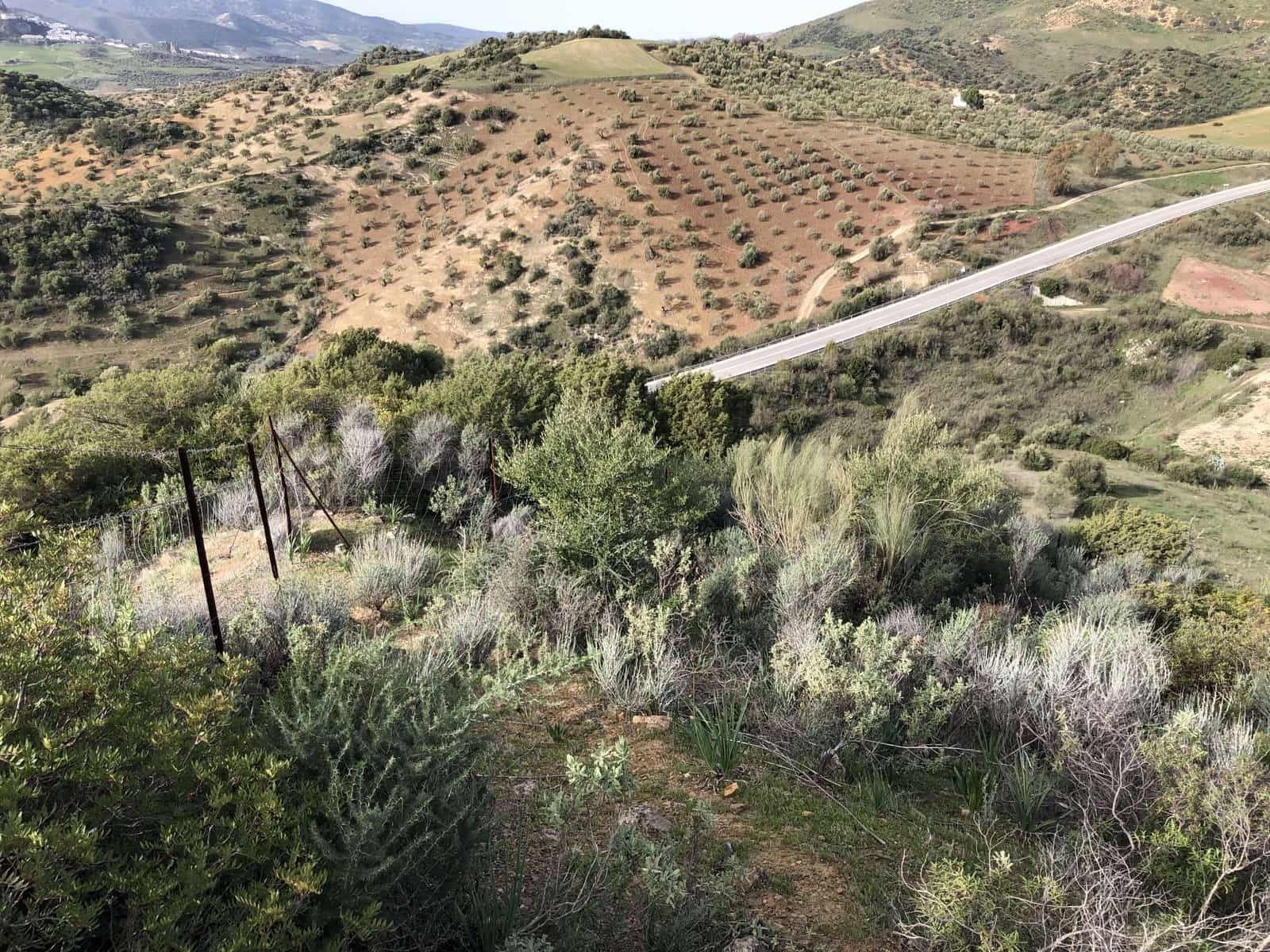 Finca/Casa Rural en El Gastor en venta - 60.000 € (Ref: 10094968)