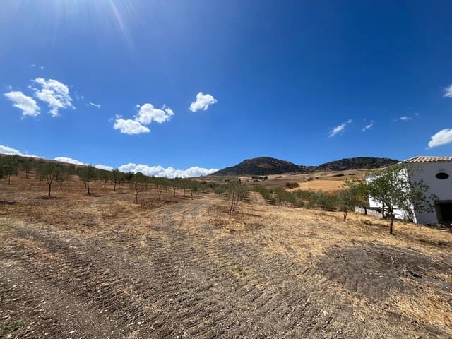 3 soverom Finca/Herregård til salgs i Ronda med svømmebasseng - € 239 000 (Ref: 10130925)