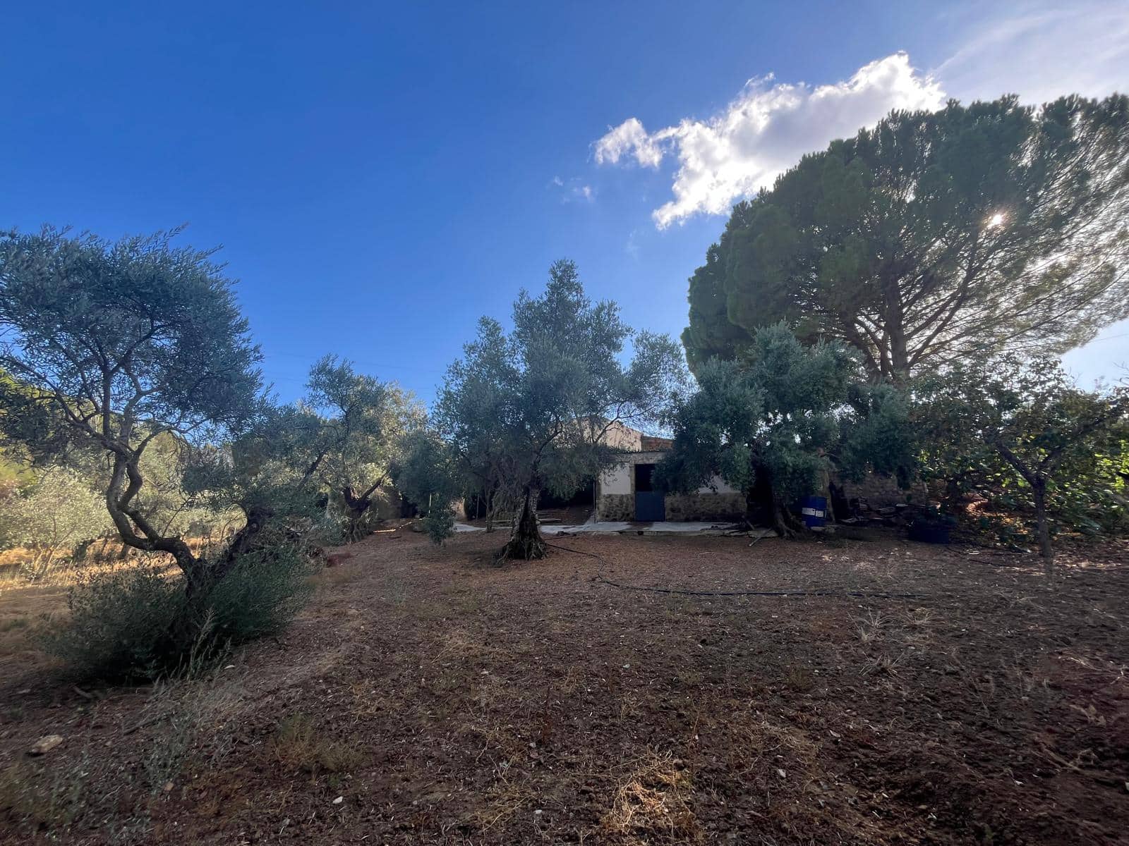 3 bedroom Finca/Country House for sale in Ronda with pool - € 695,000 (Ref: 10130939)