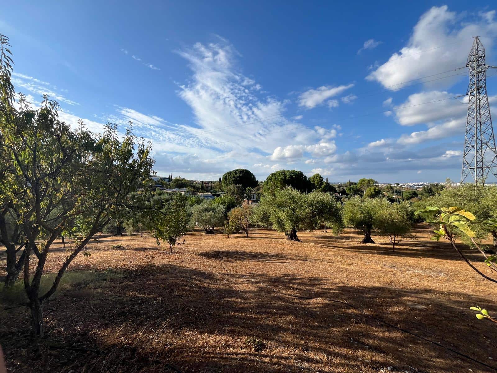 3 bedroom Finca/Country House for sale in Ronda with pool - € 695,000 (Ref: 10130939)
