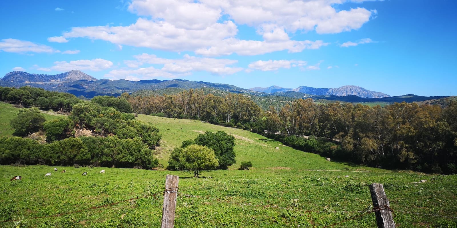 3 soveværelse Finca/Landehus til salg i Ronda med swimmingpool - € 750.000 (Ref: 4799026)