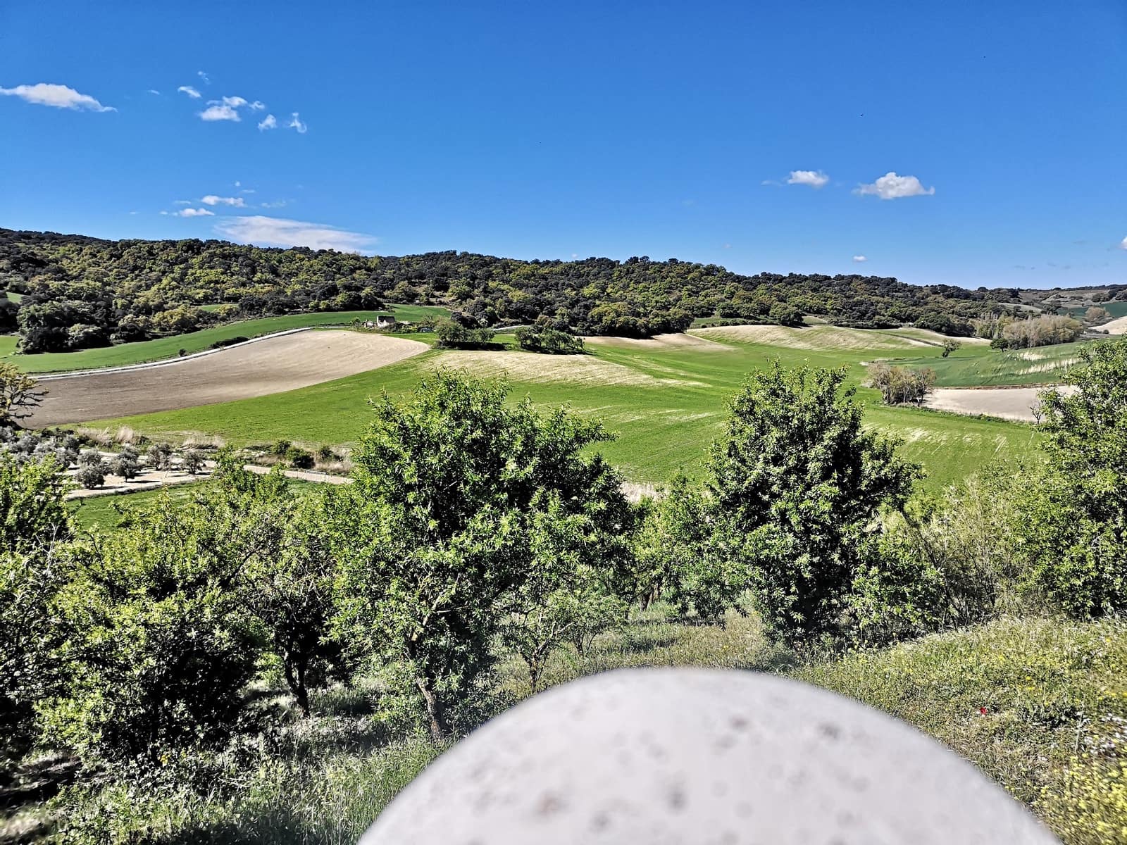 3 soveværelse Finca/Landehus til salg i Ronda med swimmingpool - € 750.000 (Ref: 4799026)