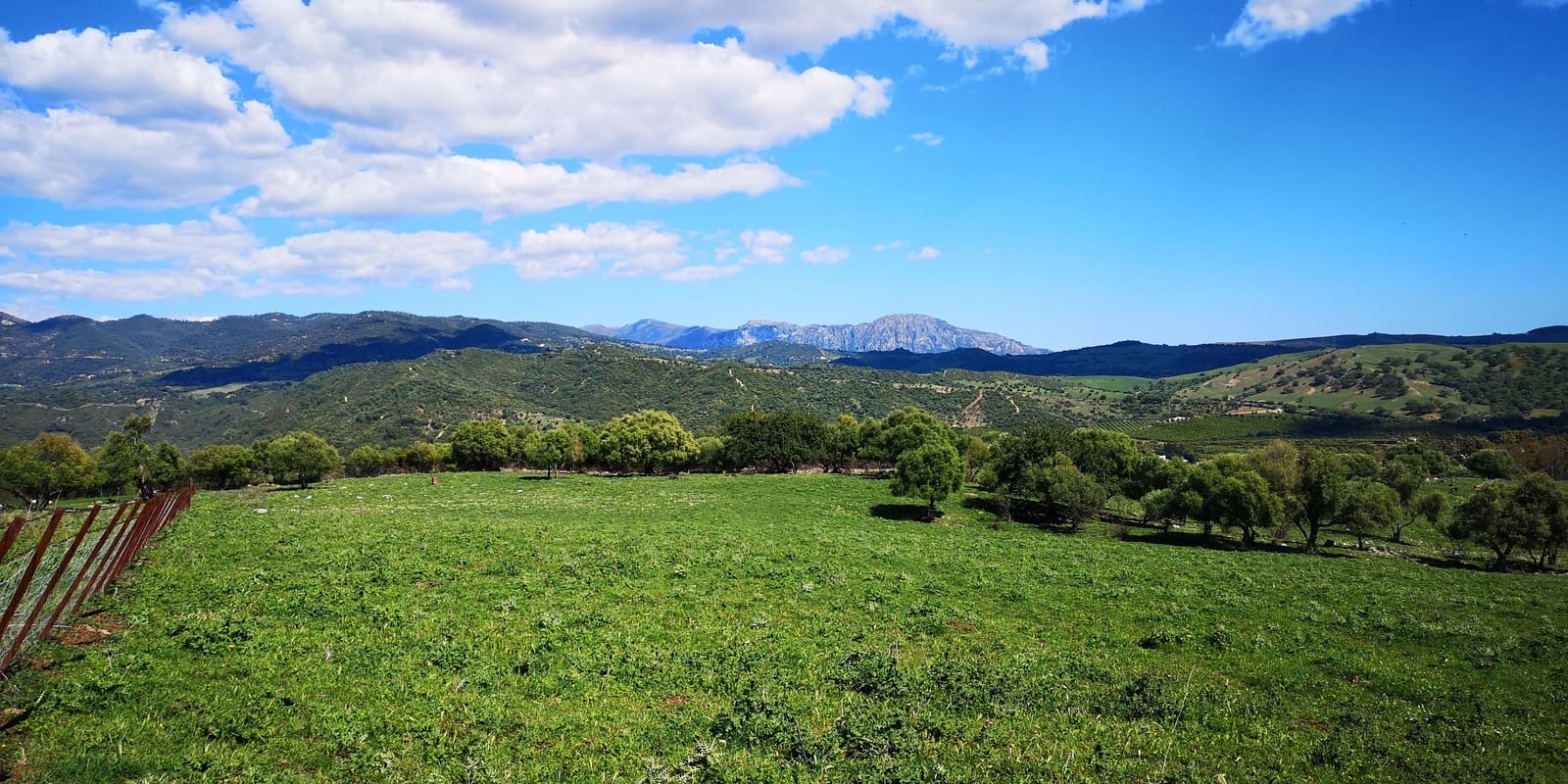 3 soveværelse Finca/Landehus til salg i Ronda med swimmingpool - € 750.000 (Ref: 4799026)