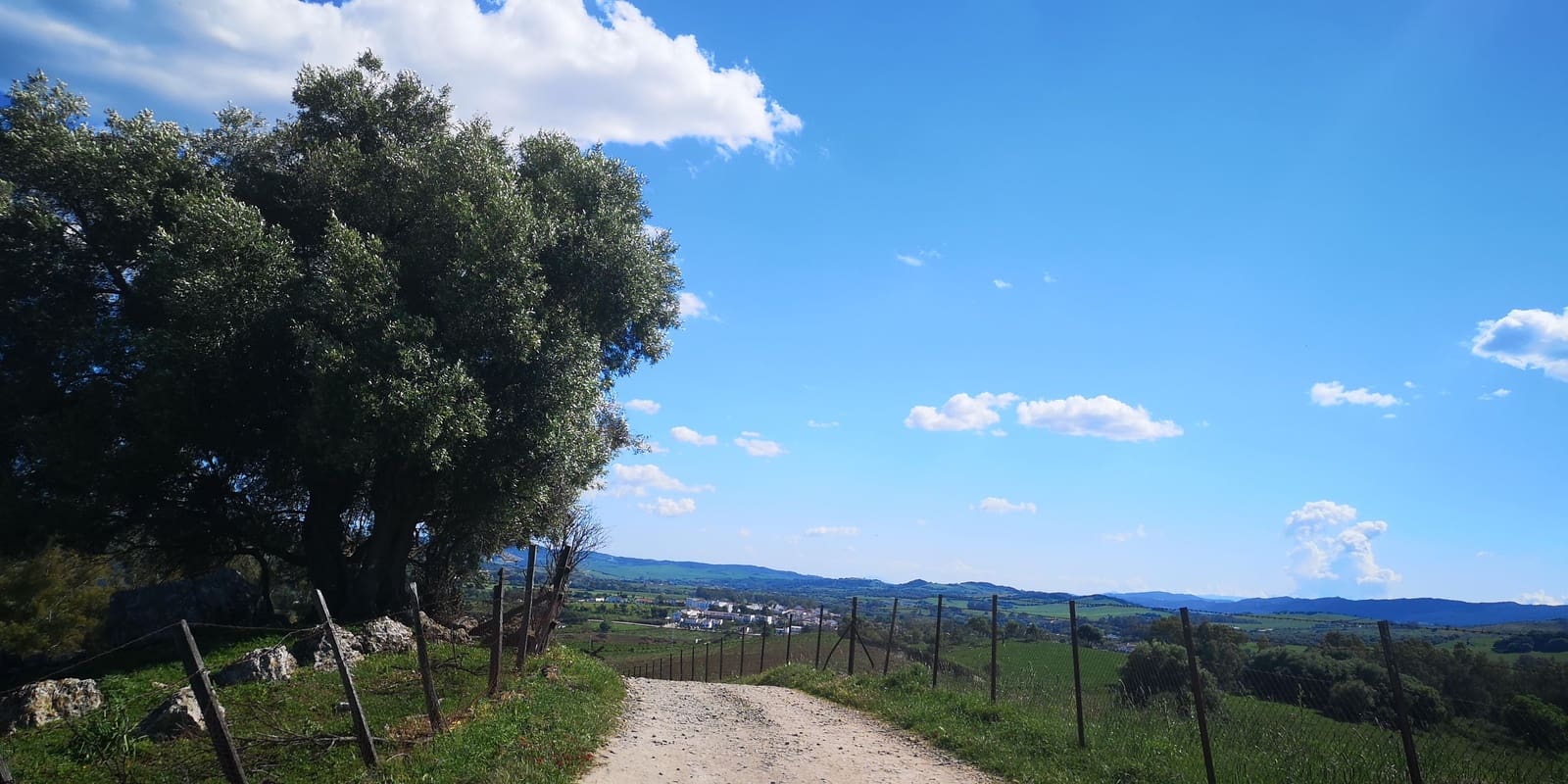 3 soveværelse Finca/Landehus til salg i Ronda med swimmingpool - € 750.000 (Ref: 4799026)