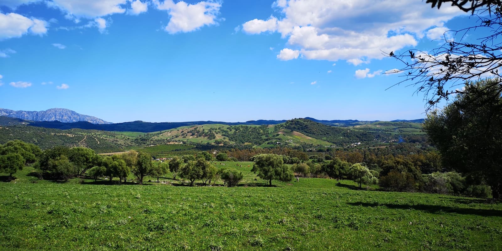 3 soveværelse Finca/Landehus til salg i Ronda med swimmingpool - € 750.000 (Ref: 4799026)