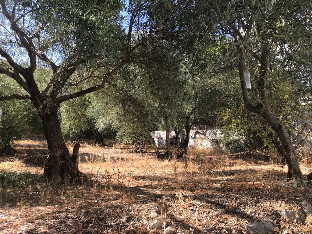 6 soveværelse Byhus til salg i Montejaque - € 210.000 (Ref: 5150913)