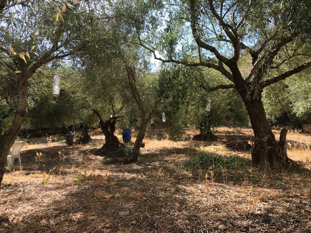 6 soveværelse Byhus til salg i Montejaque - € 210.000 (Ref: 5150913)