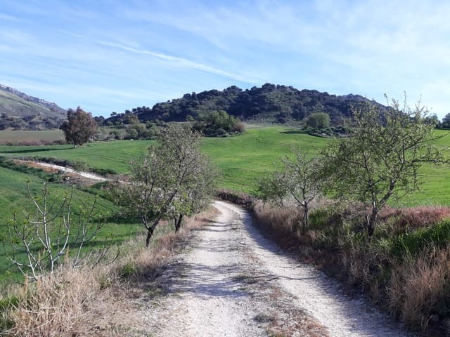 4 slaapkamer Finca/Landhuis te koop in Ronda - € 650.000 (Ref: 5385026)