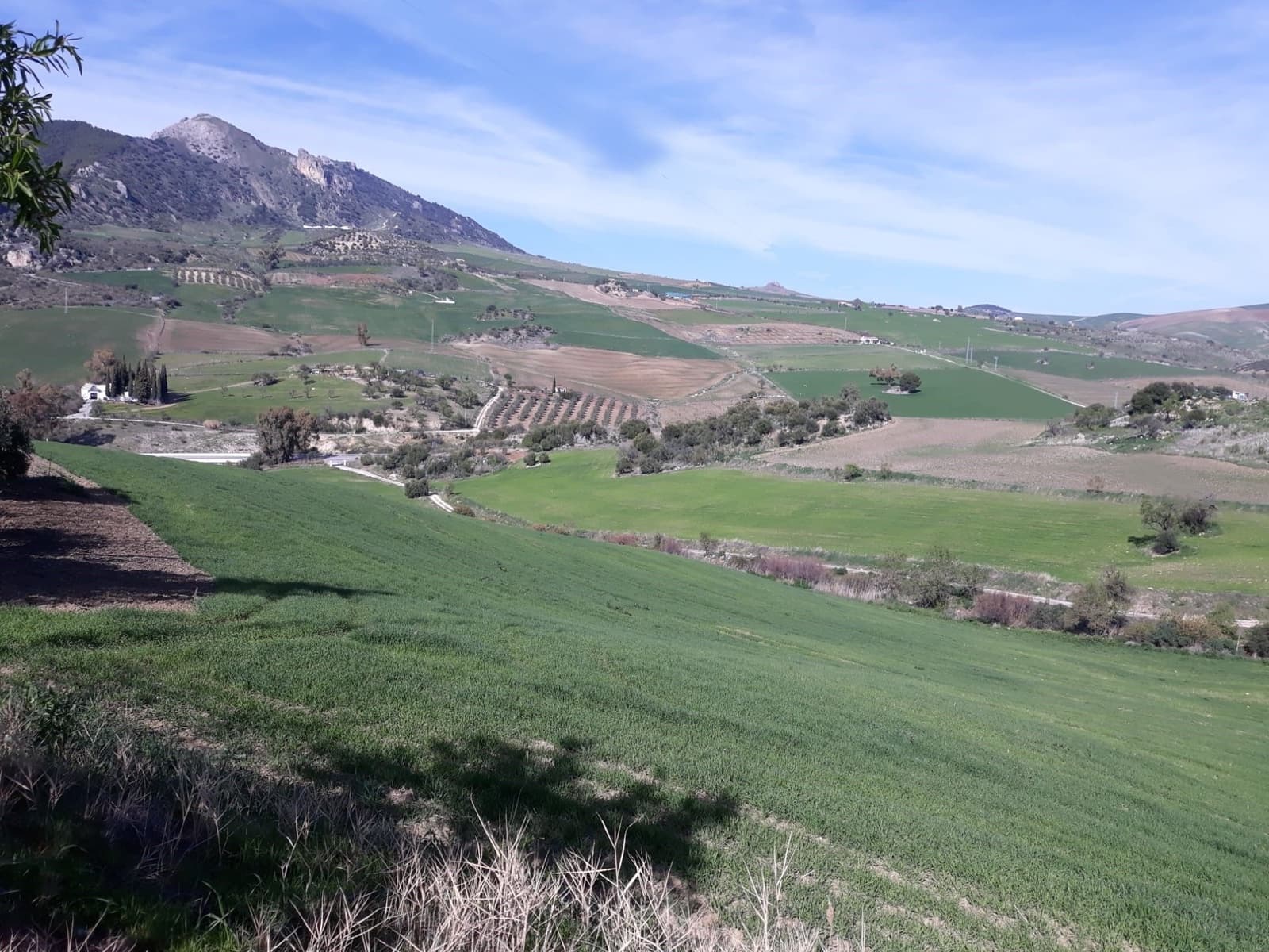 4 bedroom Finca/Country House for sale in Ronda - € 650,000 (Ref: 5385026)