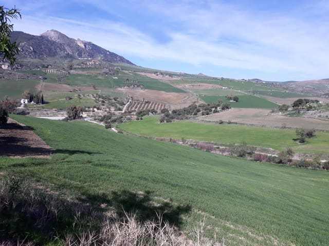 4 slaapkamer Finca/Landhuis te koop in Ronda - € 650.000 (Ref: 5385026)