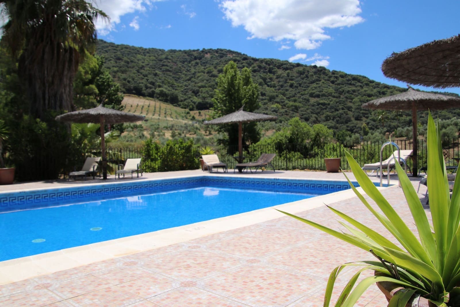 14 soveværelse Hotel til salg i Ronda - € 980.000 (Ref: 5678060)