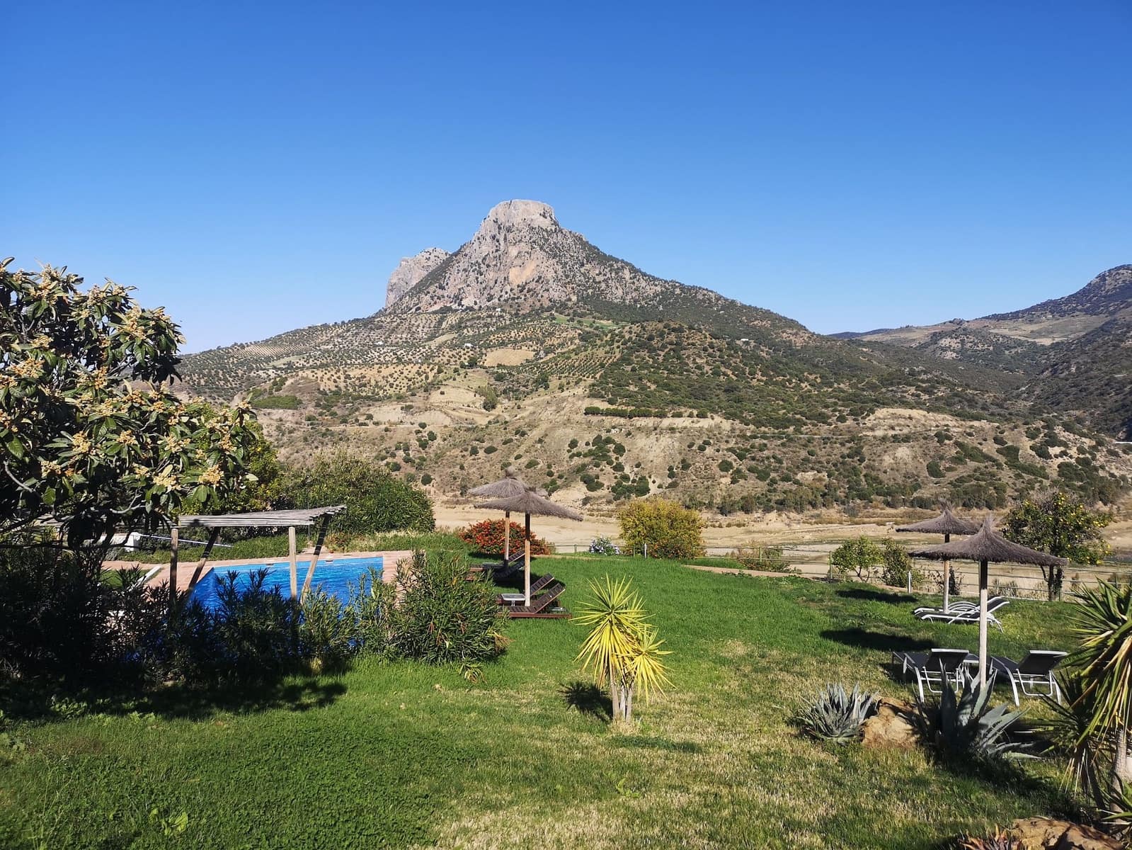 7 soveværelse Finca/Landehus til salg i El Gastor med swimmingpool - € 750.000 (Ref: 5845460)