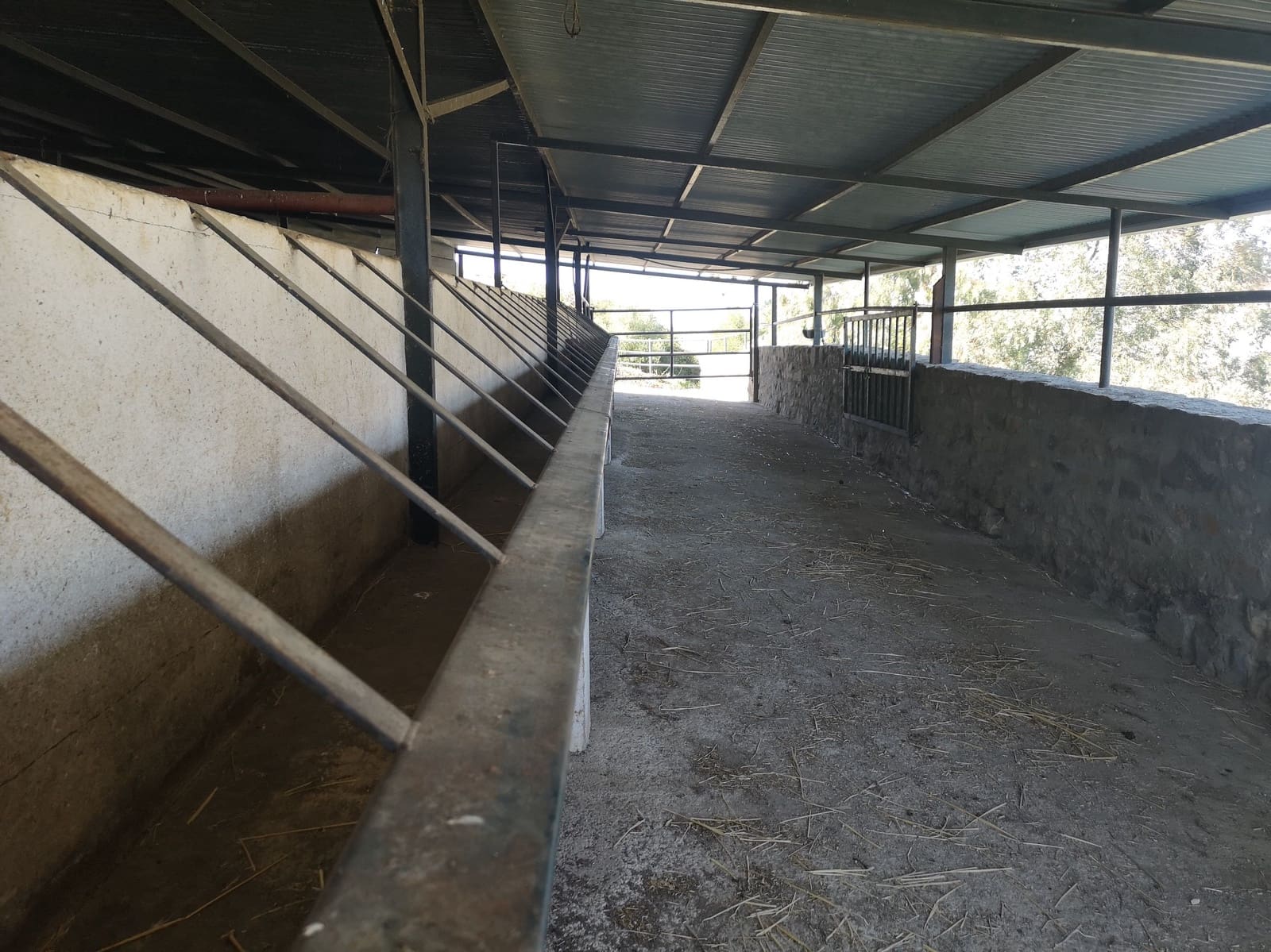 7 soveværelse Finca/Landehus til salg i El Gastor med swimmingpool - € 750.000 (Ref: 5845460)