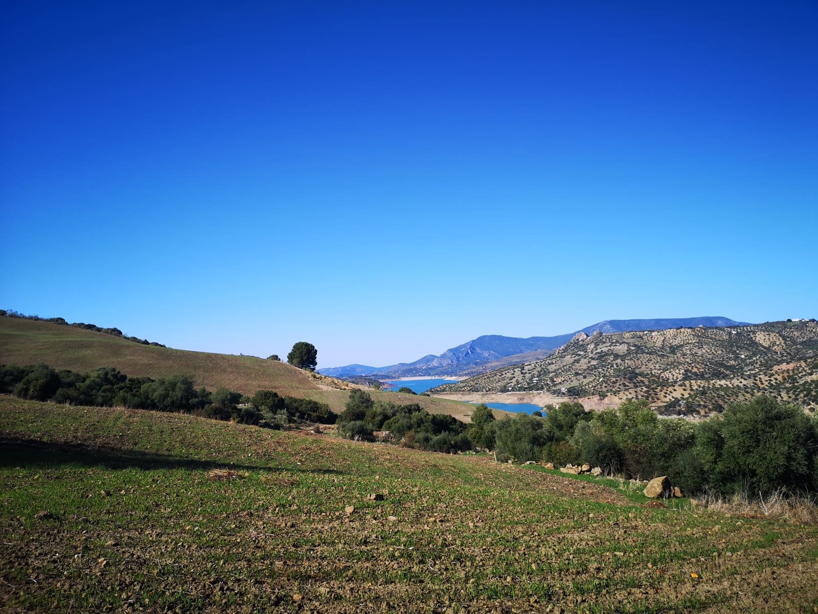 7 soveværelse Finca/Landehus til salg i El Gastor med swimmingpool - € 750.000 (Ref: 5845460)