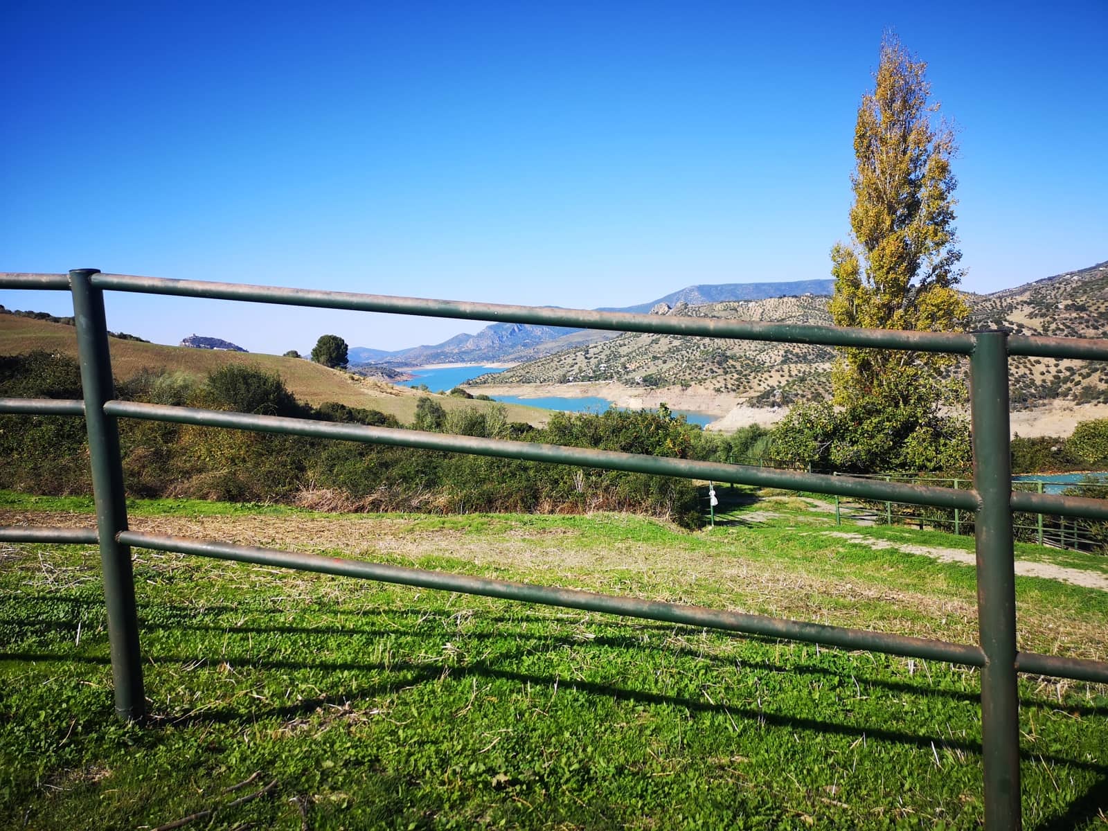 7 soveværelse Finca/Landehus til salg i El Gastor med swimmingpool - € 750.000 (Ref: 5845460)