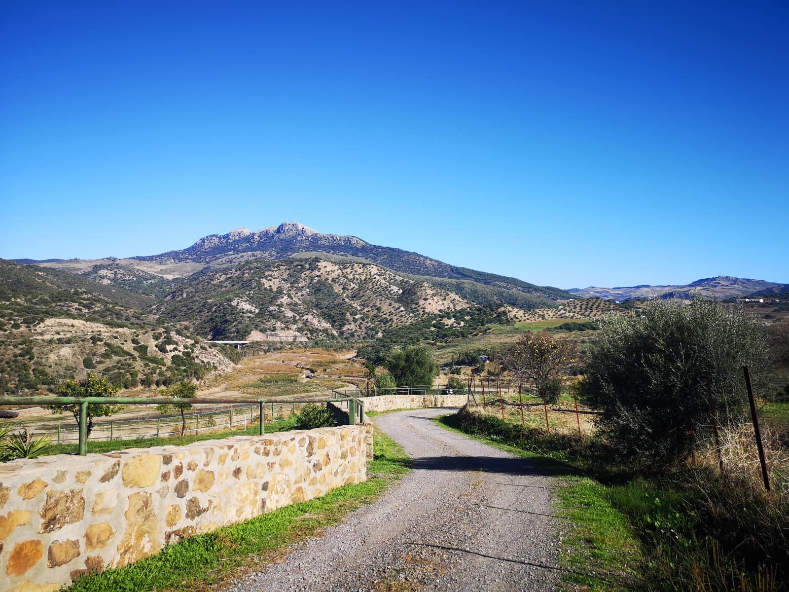 7 soveværelse Finca/Landehus til salg i El Gastor med swimmingpool - € 750.000 (Ref: 5845460)