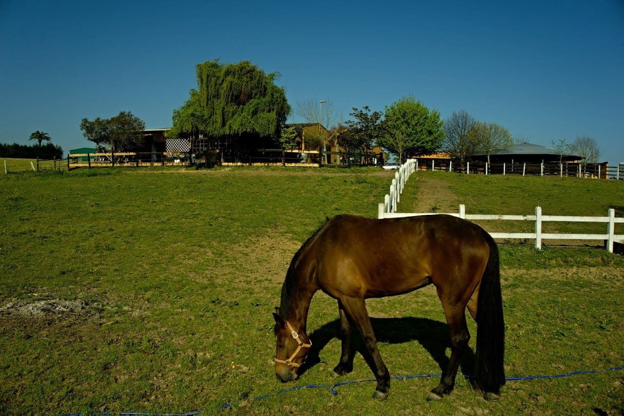 Finca/Landehus til salg i Santander - € 900.000 (Ref: 5884573)