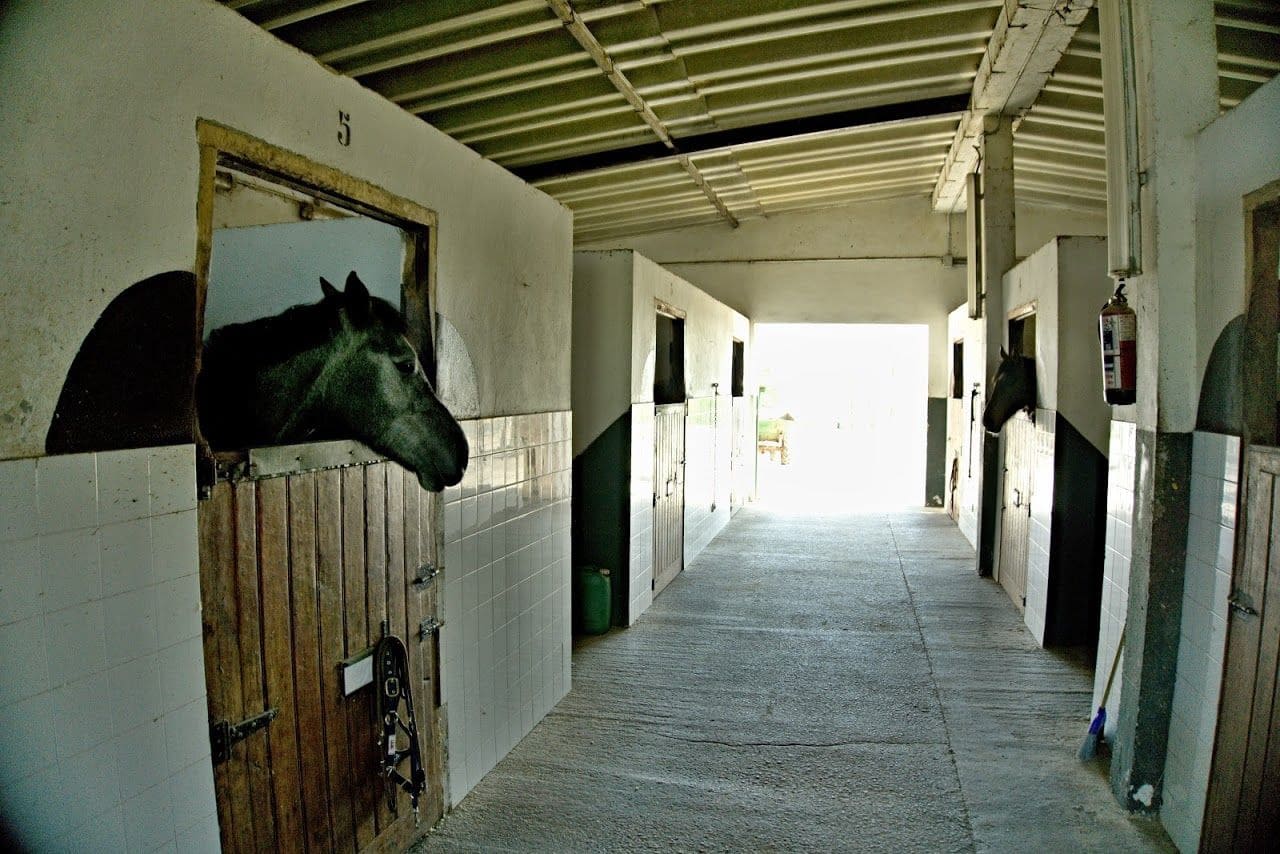 Finca/Landehus til salg i Santander - € 900.000 (Ref: 5884573)