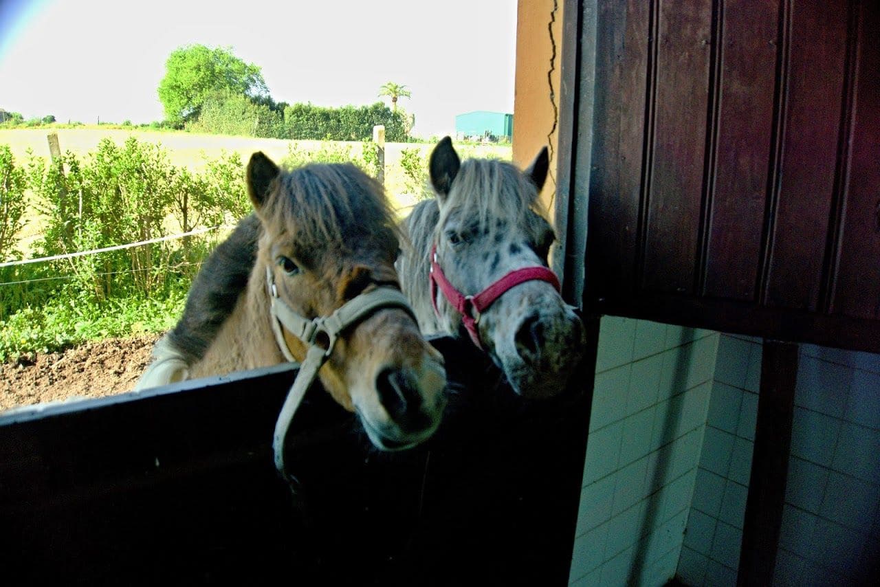 Finca/Landehus til salg i Santander - € 900.000 (Ref: 5884573)