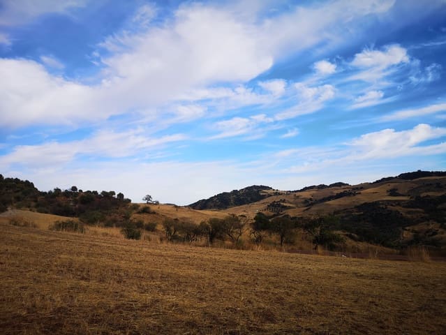 Ubebygd land til salgs i Ronda - € 1 500 000 (Ref: 6810773)