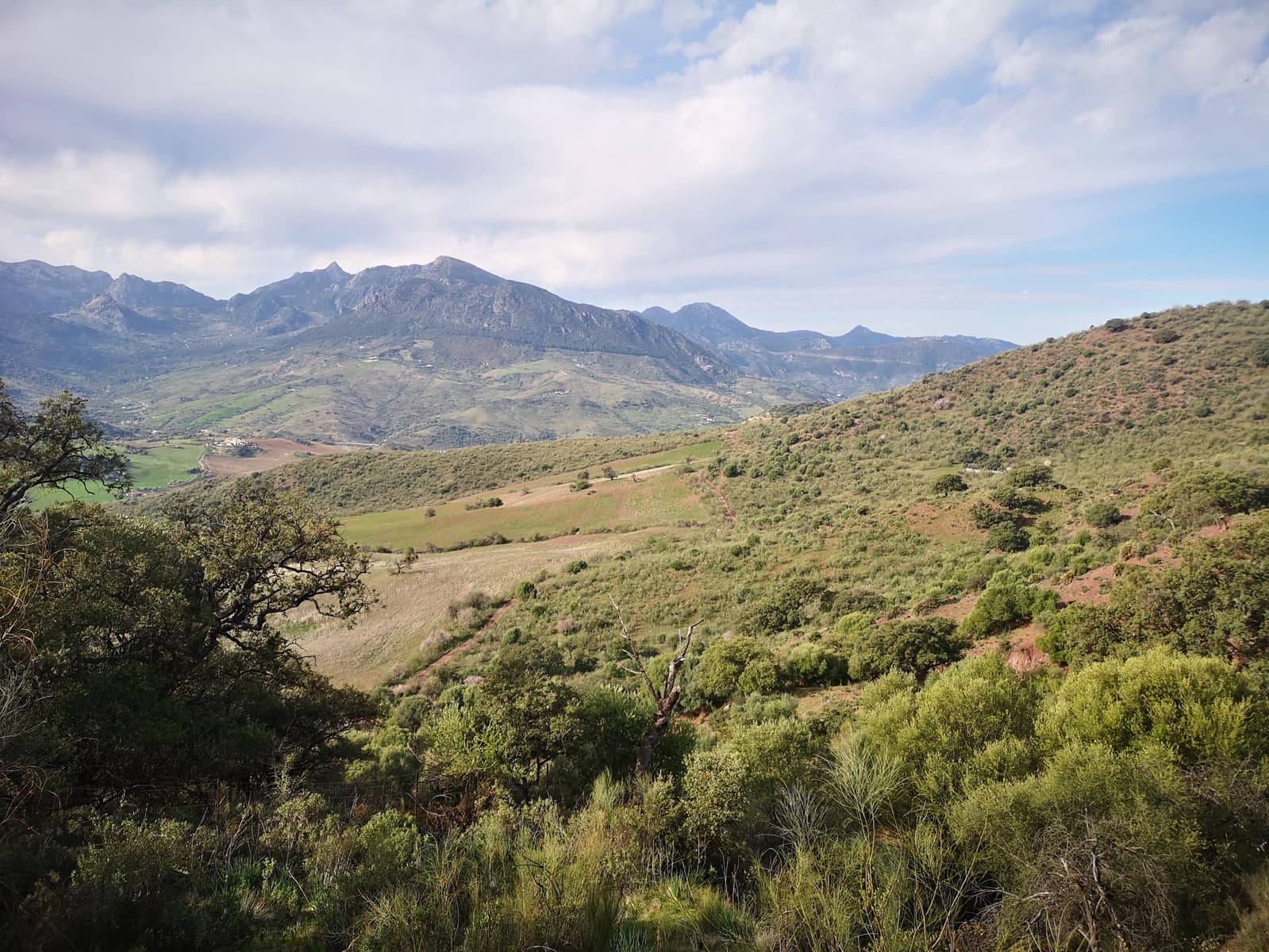 Undeveloped Land for sale in Ronda - € 1,500,000 (Ref: 6810773)