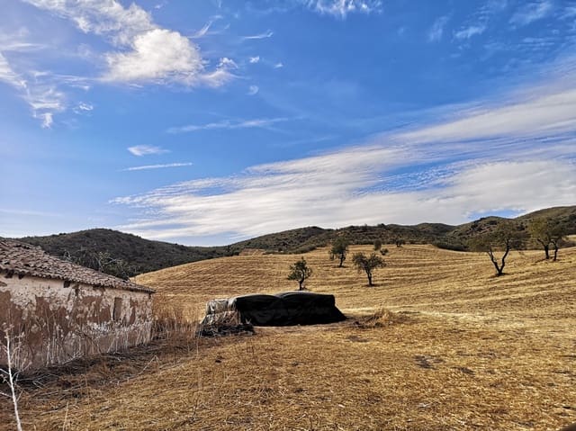 Ubebygd land til salgs i Ronda - € 1 500 000 (Ref: 6810773)