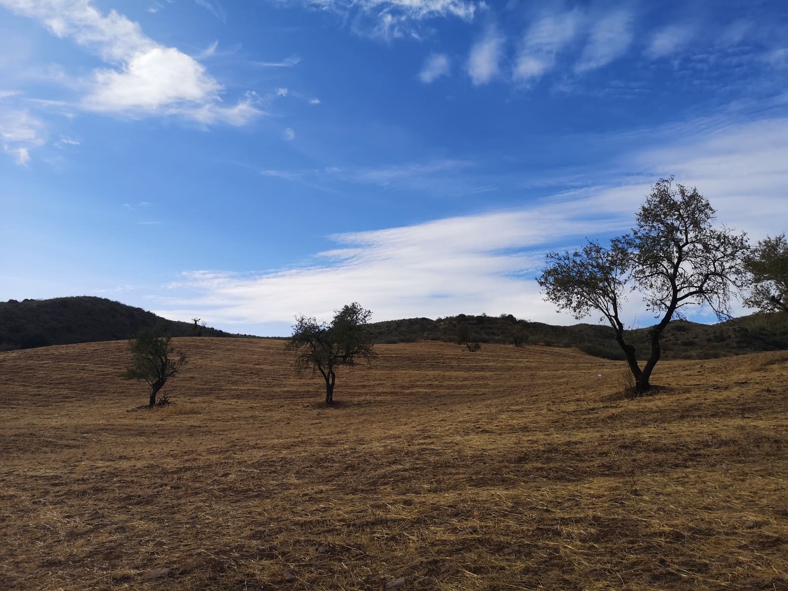 Undeveloped Land for sale in Ronda - € 1,500,000 (Ref: 6810773)