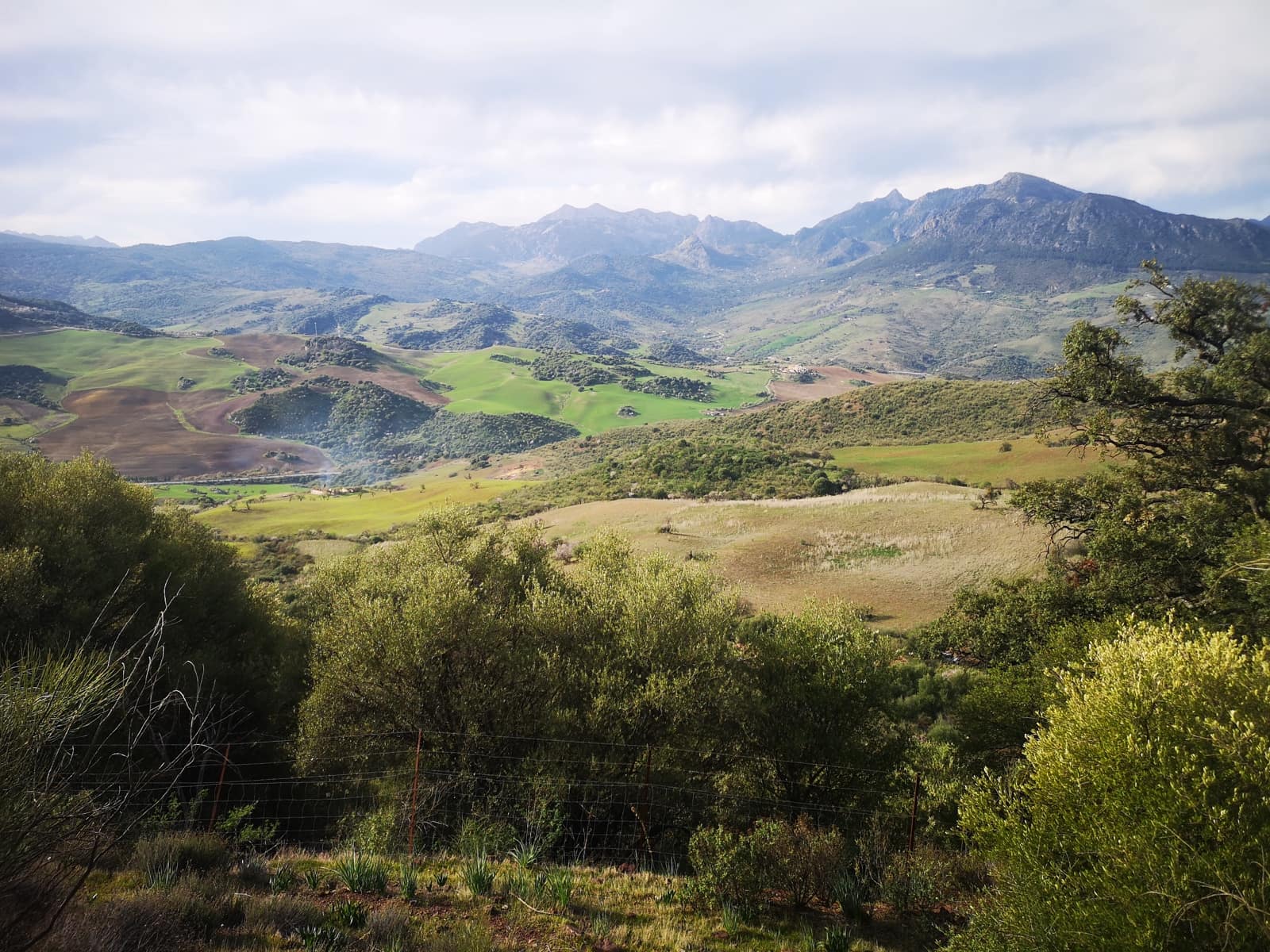 Undeveloped Land for sale in Ronda - € 1,500,000 (Ref: 6810773)