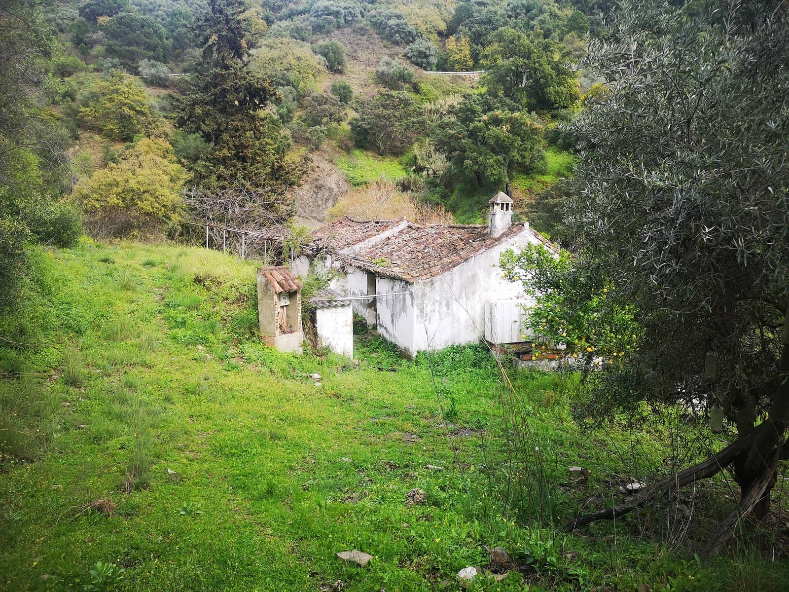 Finca/Herregård til salgs i Jubrique - € 179 000 (Ref: 6840064)