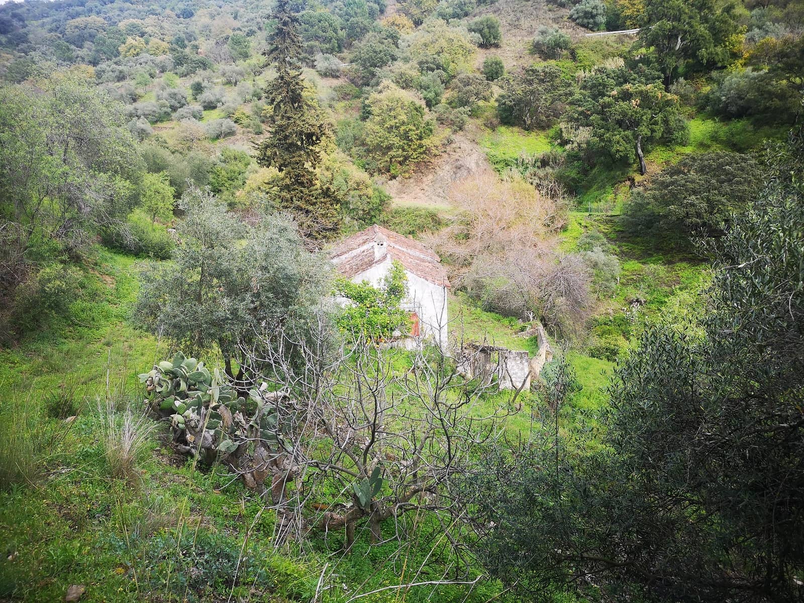 Finca/Herregård til salgs i Jubrique - € 179 000 (Ref: 6840064)