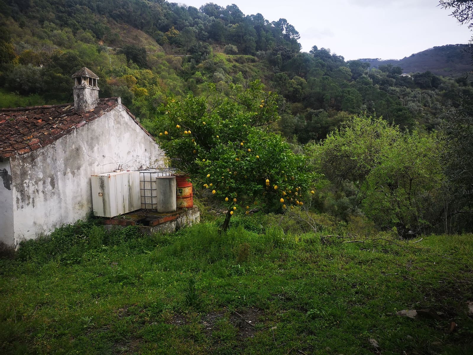 Finca/Herregård til salgs i Jubrique - € 179 000 (Ref: 6840064)