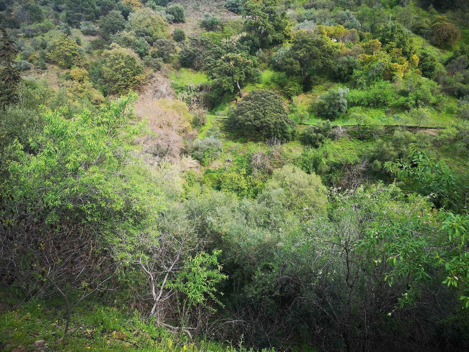 Finca/Herregård til salgs i Jubrique - € 179 000 (Ref: 6840064)