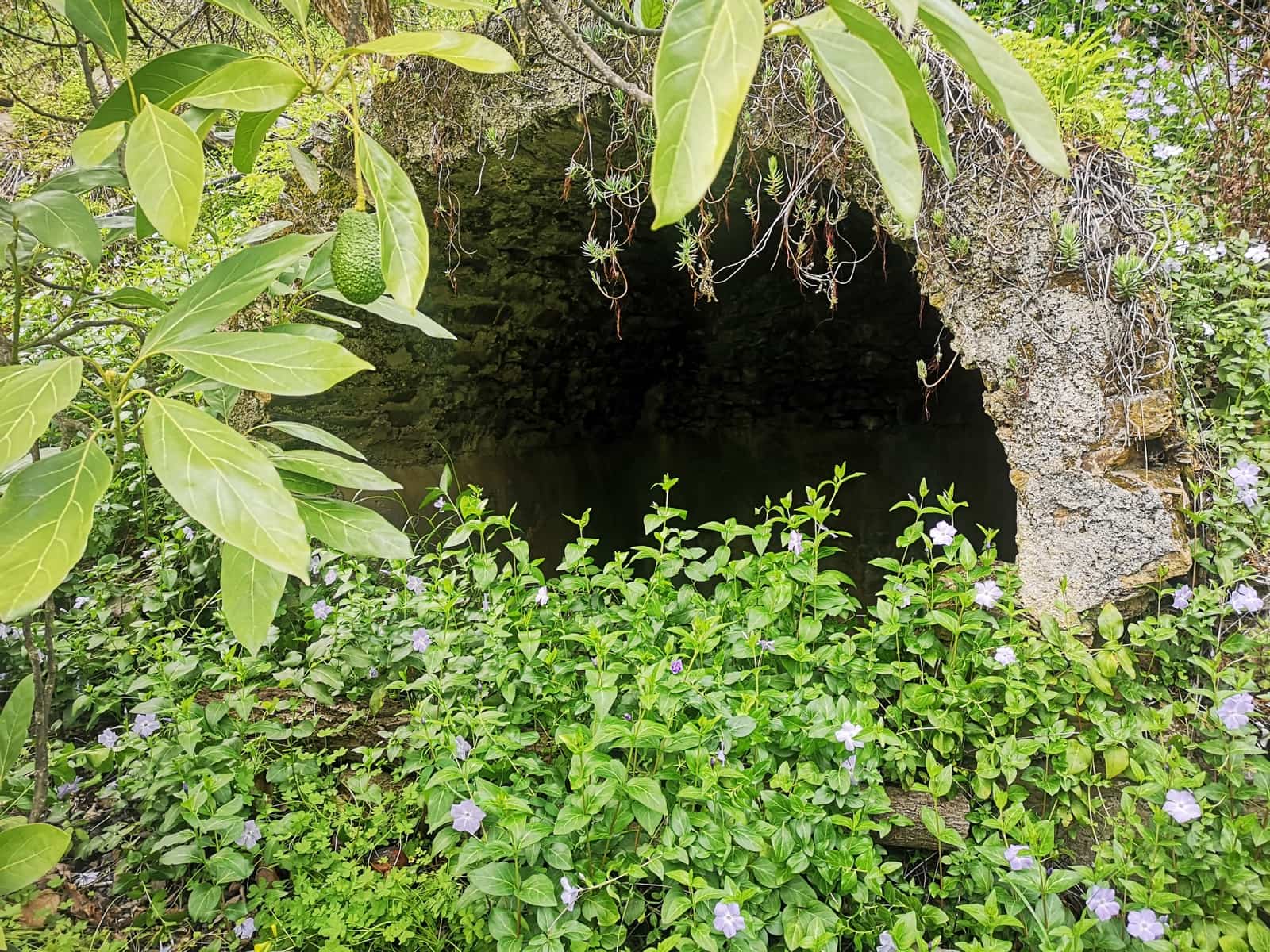 Finca/Herregård til salgs i Jubrique - € 179 000 (Ref: 6840064)