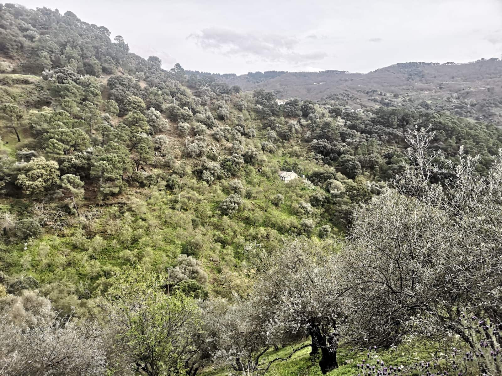 Finca/Herregård til salgs i Jubrique - € 179 000 (Ref: 6840064)