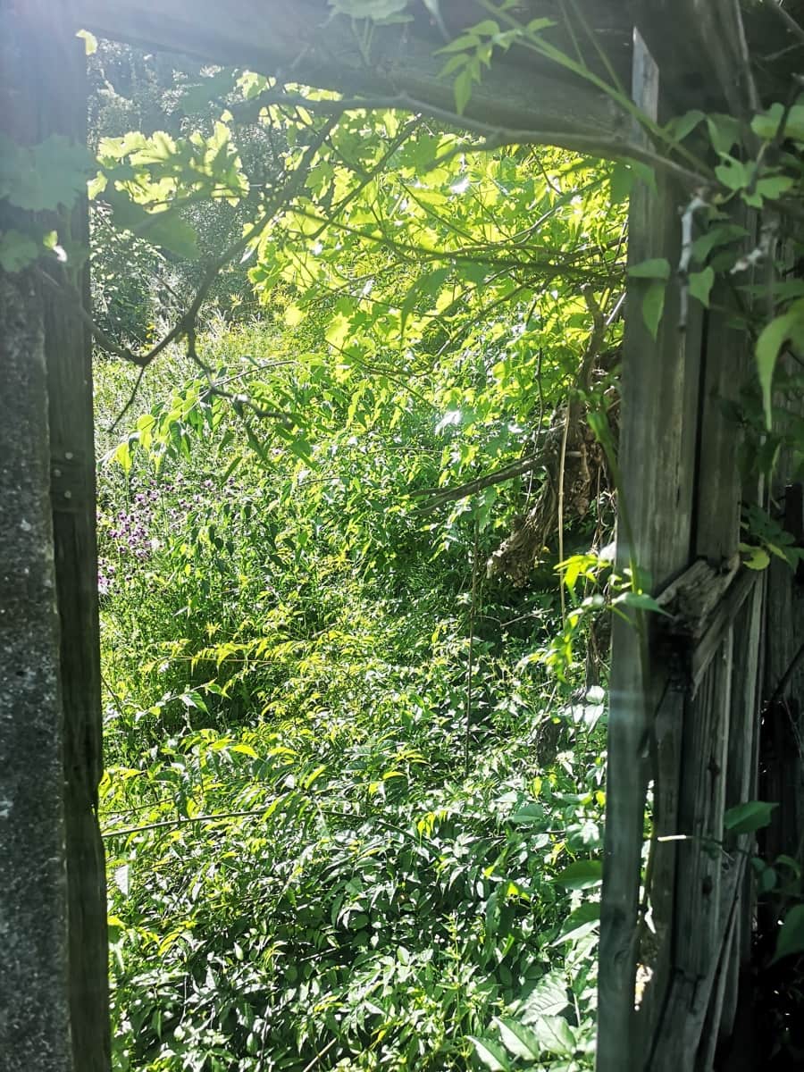 Finca/Herregård til salgs i Jubrique - € 179 000 (Ref: 6840064)