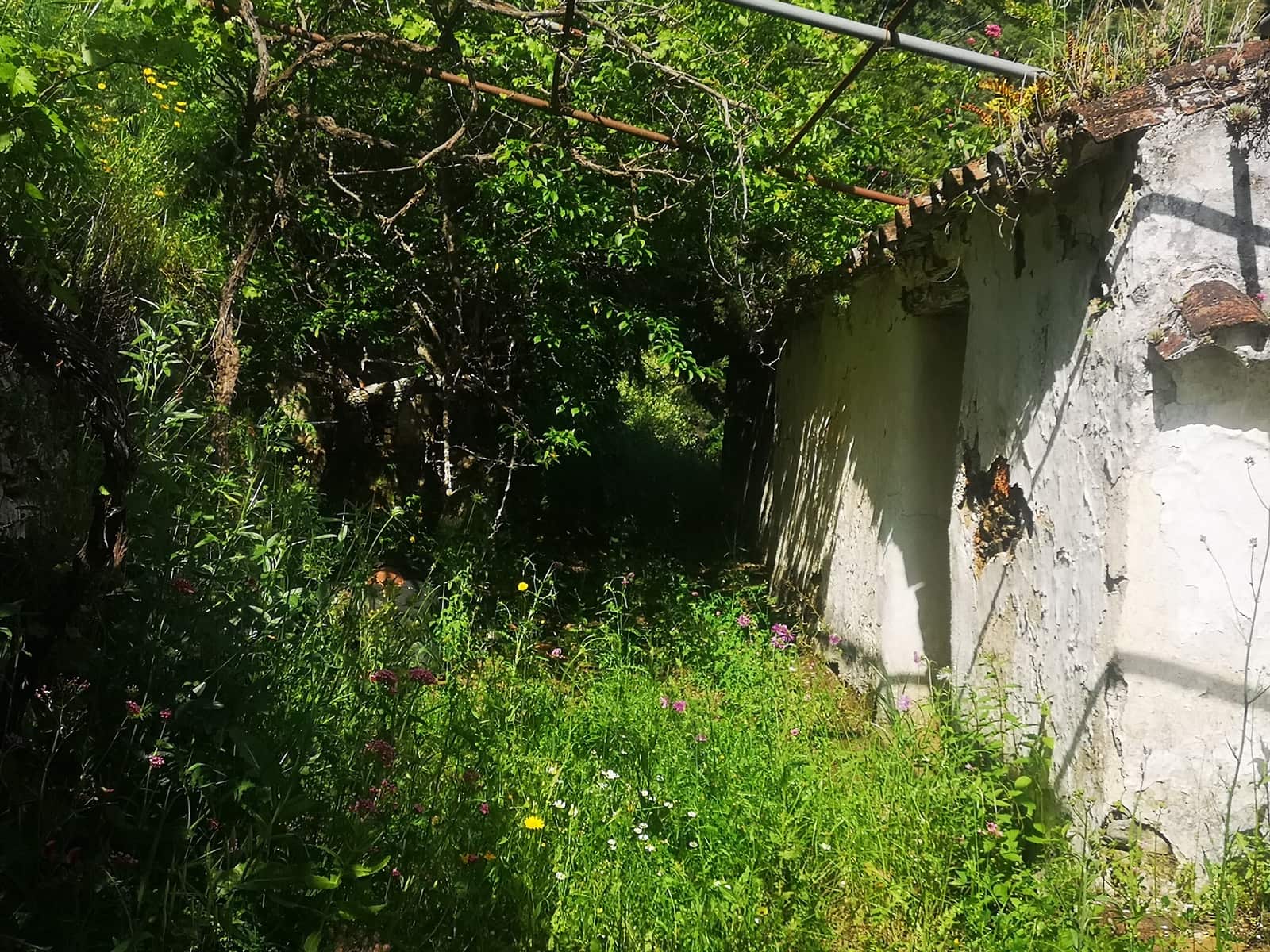 Finca/Herregård til salgs i Jubrique - € 179 000 (Ref: 6840064)