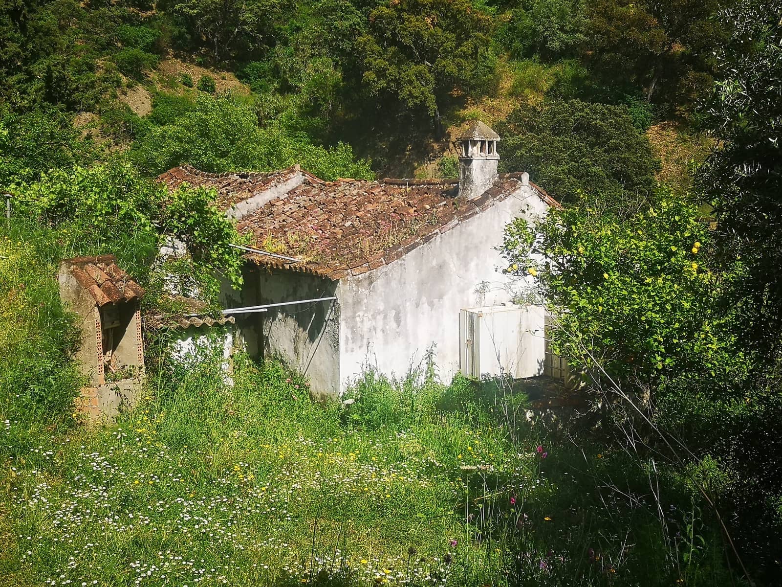 Finca/Herregård til salgs i Jubrique - € 179 000 (Ref: 6840064)