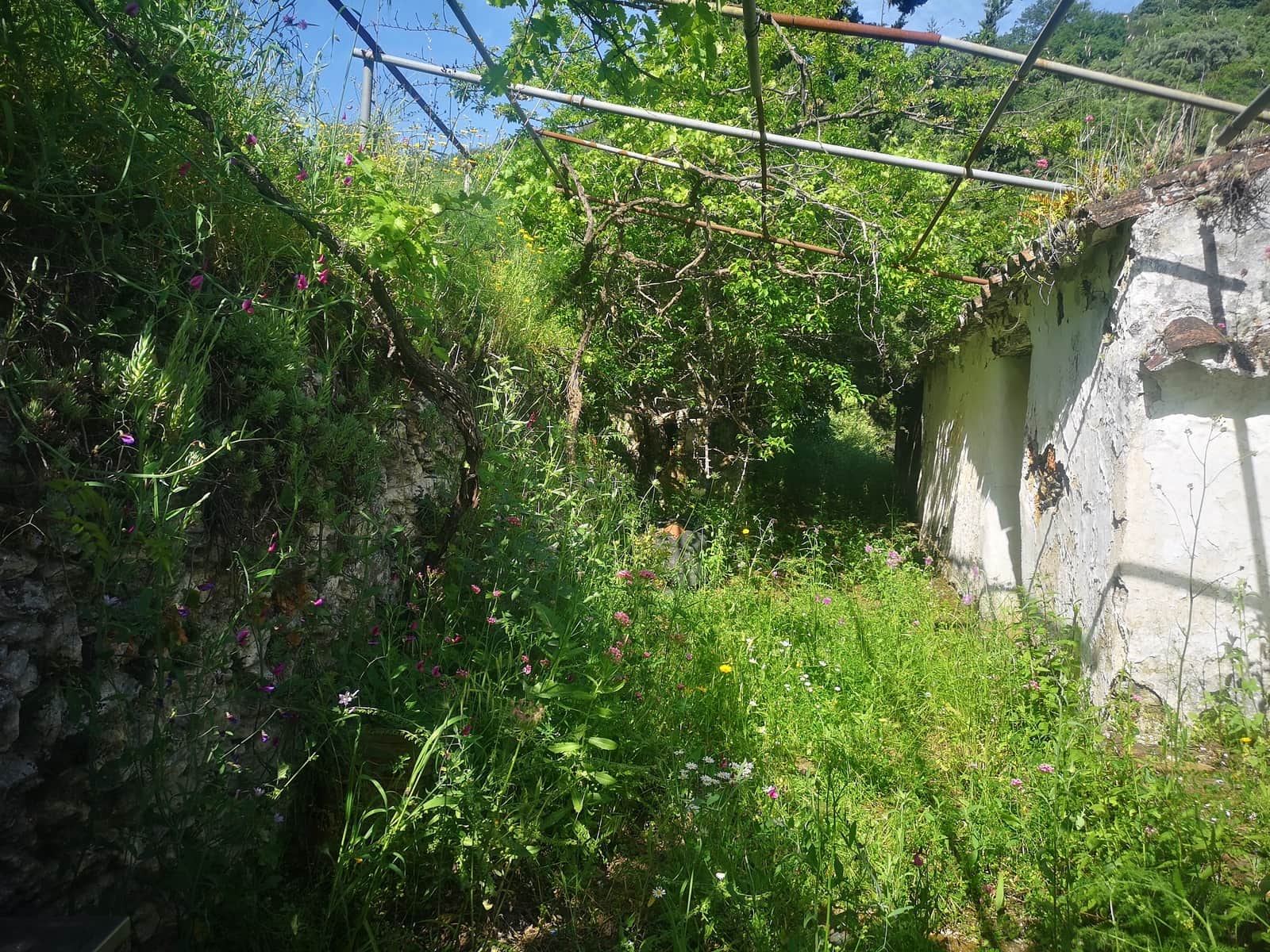 Finca/Herregård til salgs i Jubrique - € 179 000 (Ref: 6840064)