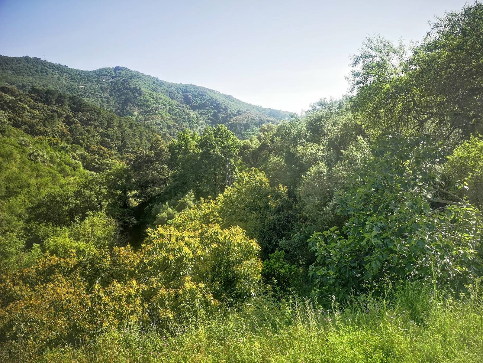 Finca/Herregård til salgs i Jubrique - € 179 000 (Ref: 6840064)